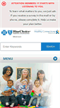Mobile Screenshot of bluechoicescmedicaid.com